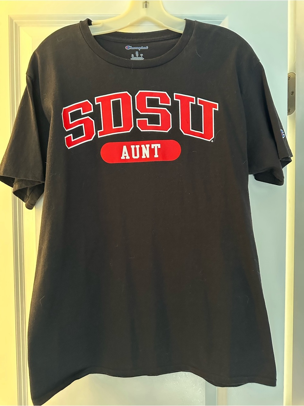 Champion Black Tee with Red SDSU 'AUNT' Graphic